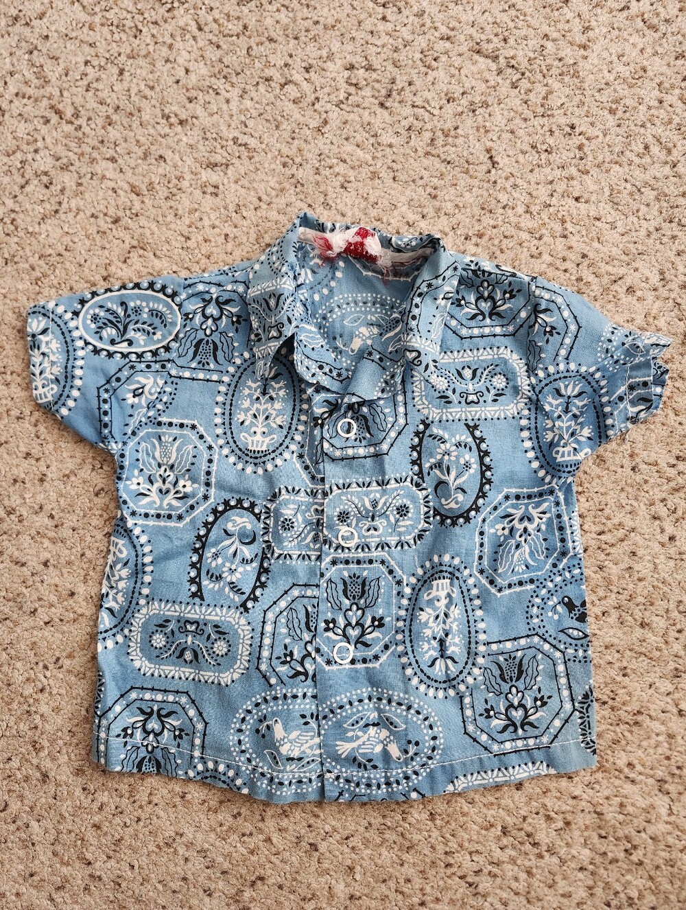 Western Baby Blue Button Down Shirt